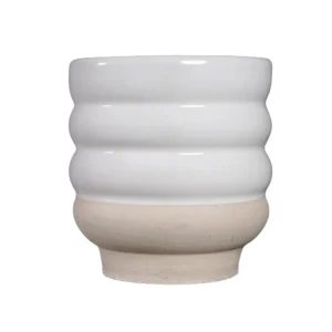 42 201 White