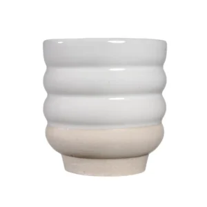 42 202 White