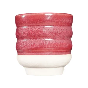 42 BRY 03 Cranberry