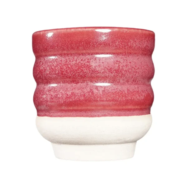 42 BRY 03 Cranberry
