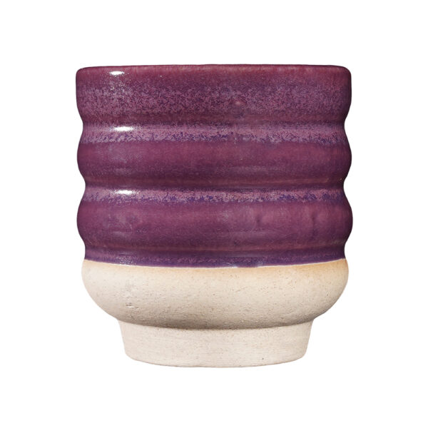 42 BRY 05 Plum