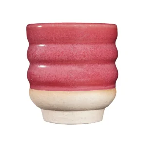 42 BRY 06 Raspberry