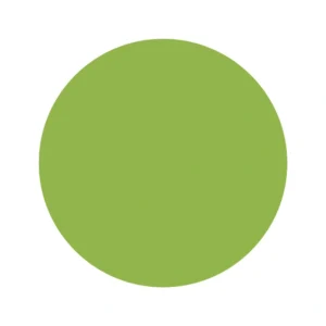 5505 Light Green