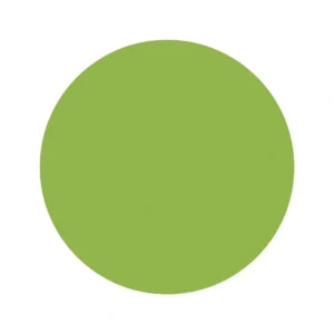 6505  Light Green