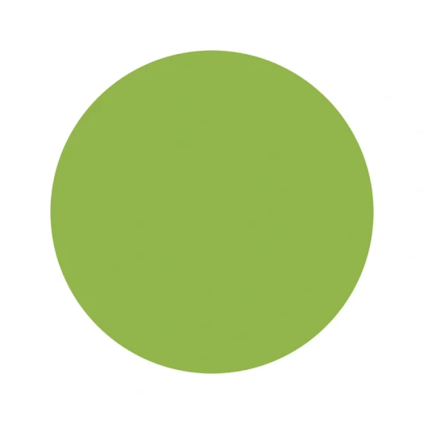 6505  Light Green