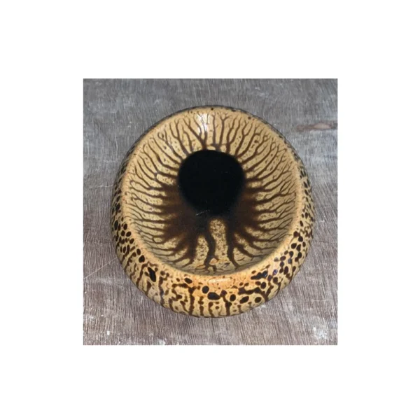 42 FA 01 Navajo Brown